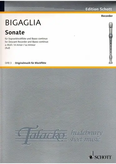 Tovární Cena Sonata a minor