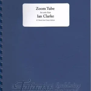 Zoom Tube For Solo Flute Přímo Od Výrobce