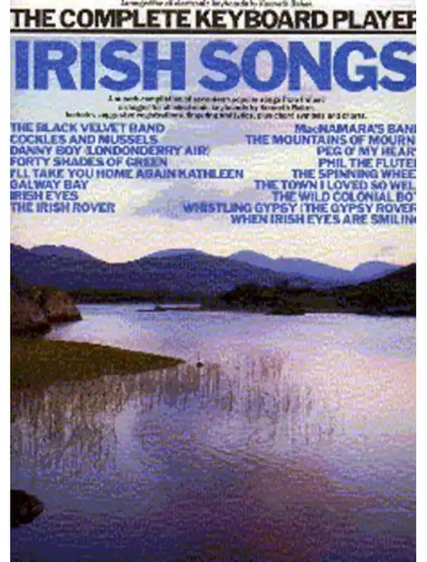 Autentický The Complete Keyboard Player Irish Songs (noty, akordy, texty)