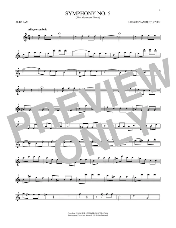 Symphony No. 5 In C Minor, First Movement Excerpt Must-Have