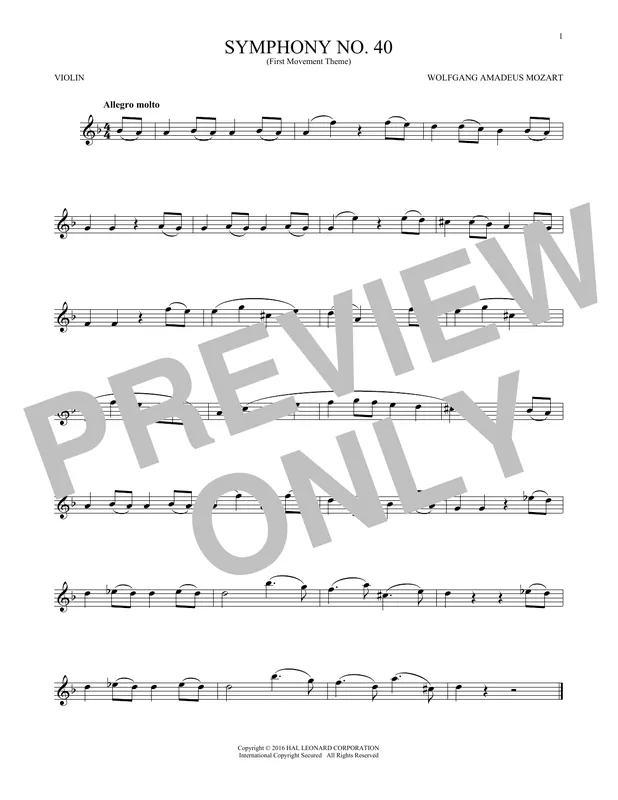 Objednat Nyní Symphony No. 40 In G Minor, First Movement Excerpt