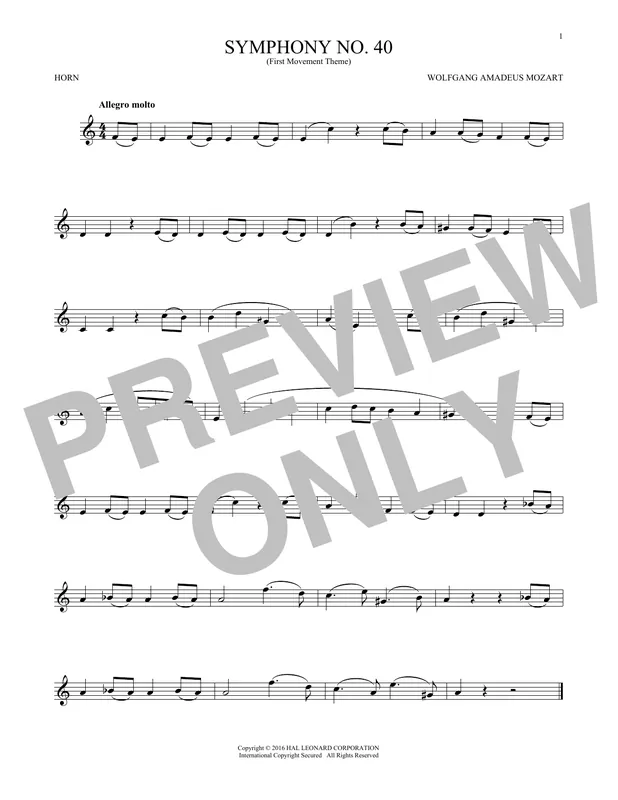 Symphony No. 40 In G Minor, First Movement Excerpt Nejlepší Volba