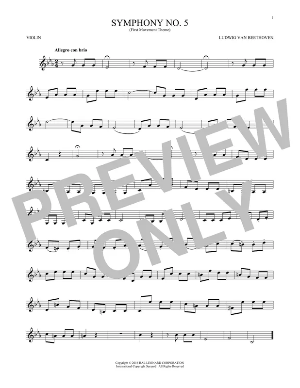 Symphony No. 5 In C Minor, First Movement Excerpt Must-Have